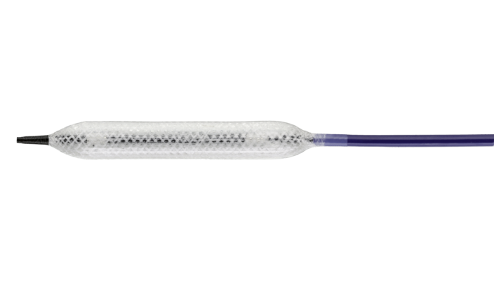 H4150315 H4150315 — BARD BALLOON HIGHLANDER 150CM X 3MM X 150MM X 4F .014.